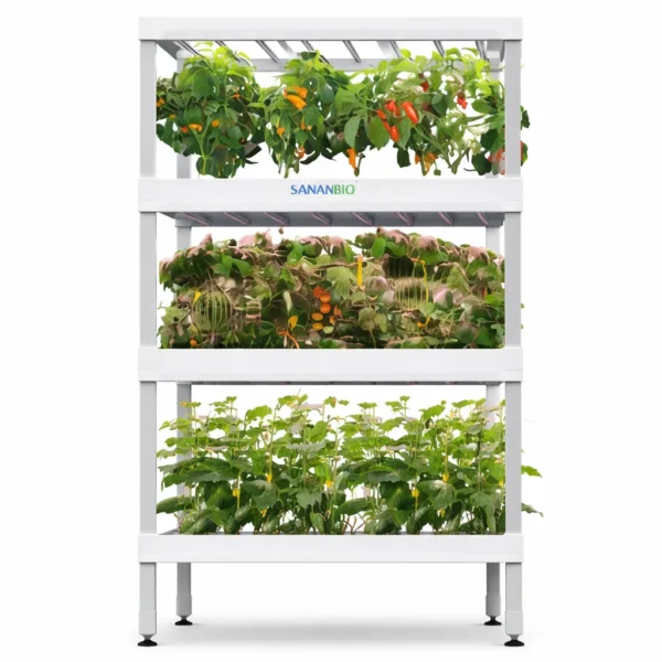 Radix Fruit Module (3-Layer)  Vertical Hydroponic System for Fruiting Crops