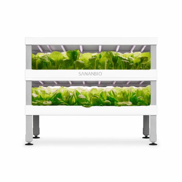 Radix Leafy Greens Module (2-Layer) Educational