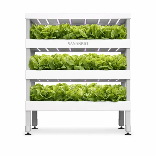 Radix Leafy Greens Module (3-Layer) Educational